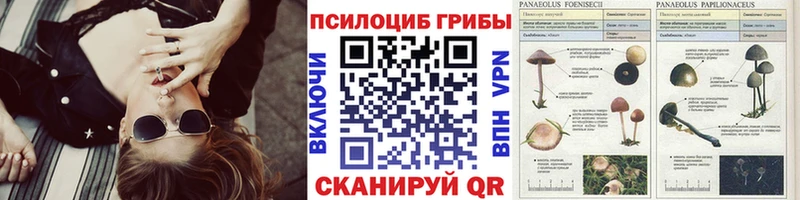Галлюциногенные грибы Magic Shrooms Ивангород